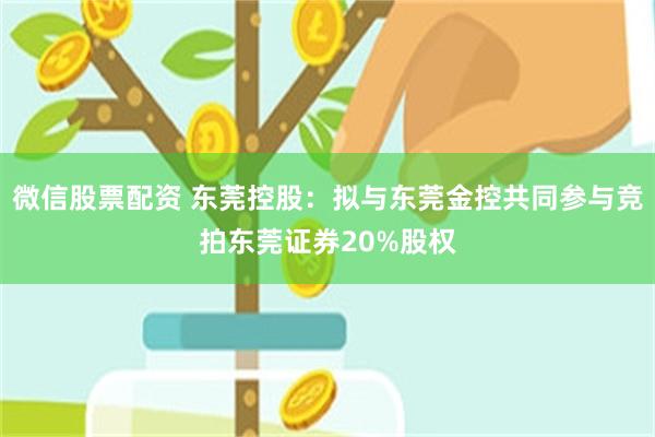 微信股票配资 东莞控股：拟与东莞金控共同参与竞拍东莞证券20%股权