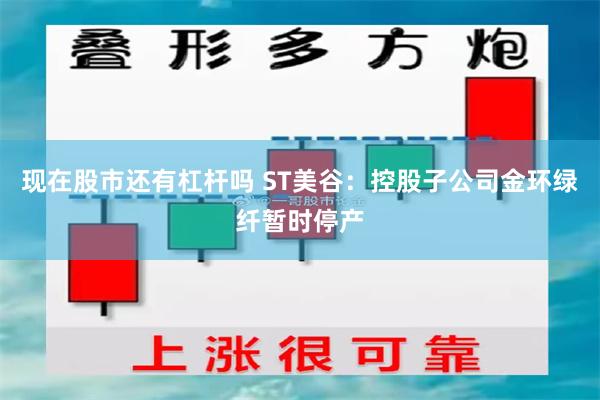 现在股市还有杠杆吗 ST美谷：控股子公司金环绿纤暂时停产