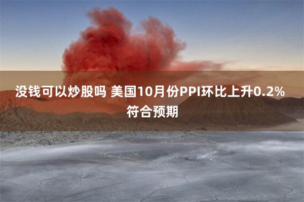 没钱可以炒股吗 美国10月份PPI环比上升0.2% 符合预期