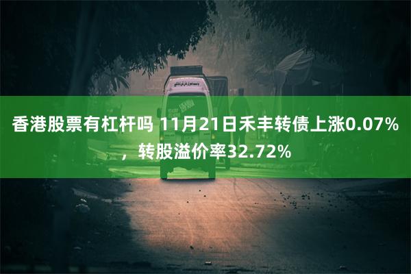 香港股票有杠杆吗 11月21日禾丰转债上涨0.07%，转股溢价率32.72%