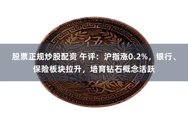 股票正规炒股配资 午评：沪指涨0.2%，银行、保险板块拉升，培育钻石概念活跃