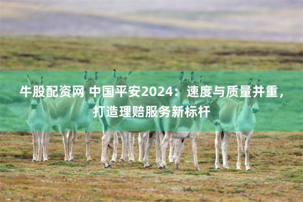 牛股配资网 中国平安2024：速度与质量并重，打造理赔服务新标杆