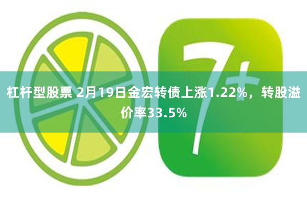 杠杆型股票 2月19日金宏转债上涨1.22%，转股溢价率33.5%