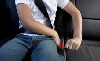 娱乐吃瓜酱安全带